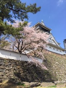 20190402小倉城桜（たて）